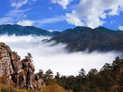 石家庄神农架：秘境之旅，云海奇观，草原牧歌，探寻世外桃源